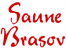 SAUNE BRASOV - producator saune - infrasaune - saune profesionale - saune de gradina - saune de lux