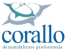 CORALLO - Dezumidificare in constructii - Servicii Inchiriere / Vanzare Dezumidificator aer