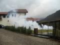 Deratizare Brasov