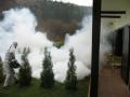 Deratizare, dezinsectie si dezinfectie Brasov