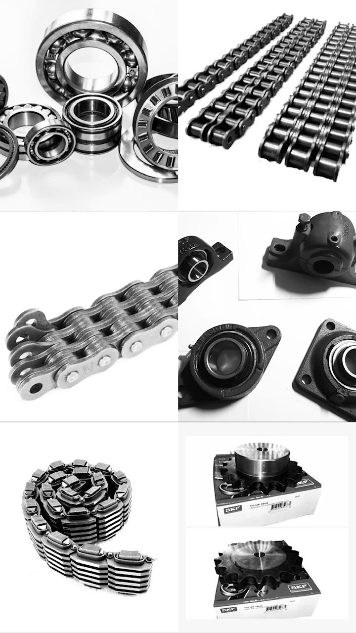 Lanţuri şi rulmenţi