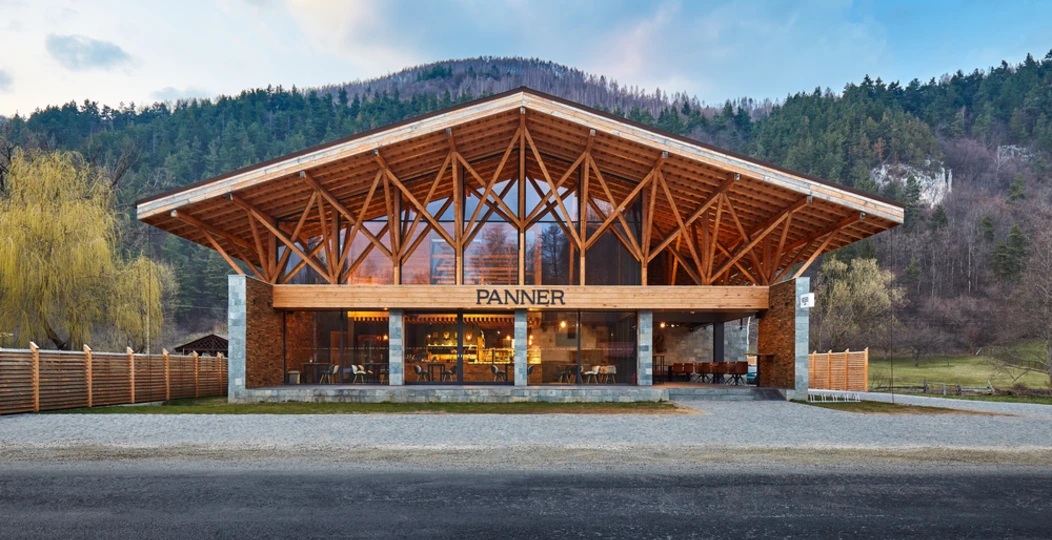 Materiale lemnoase construcții