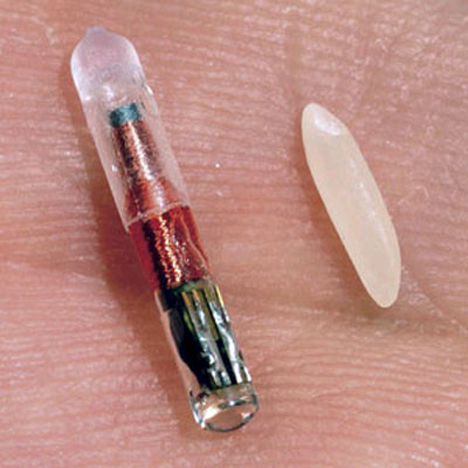 Microchip implantat in umar
